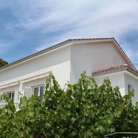 Double Rab 12616b 2*